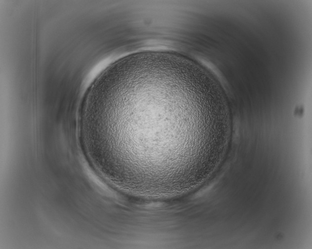 X0000113241467200909171551