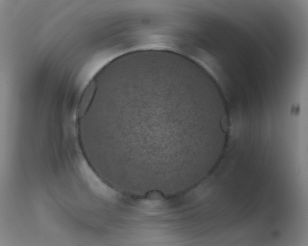 X0000113241468200909171551