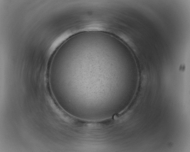 X0000113241469200909171551