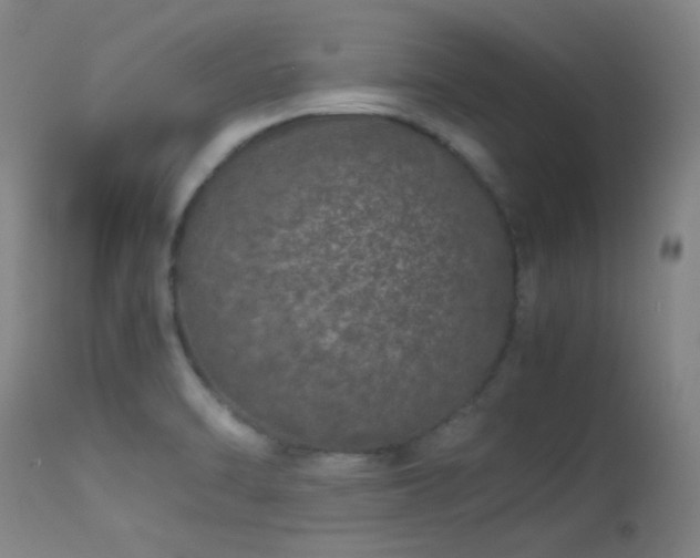 X0000113241470200909171551