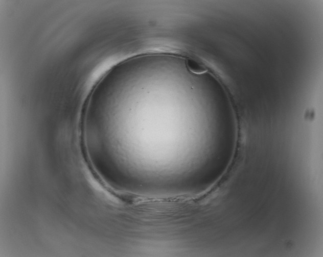 X0000113241471200909171551