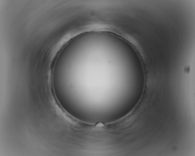 X0000113241472200909171551