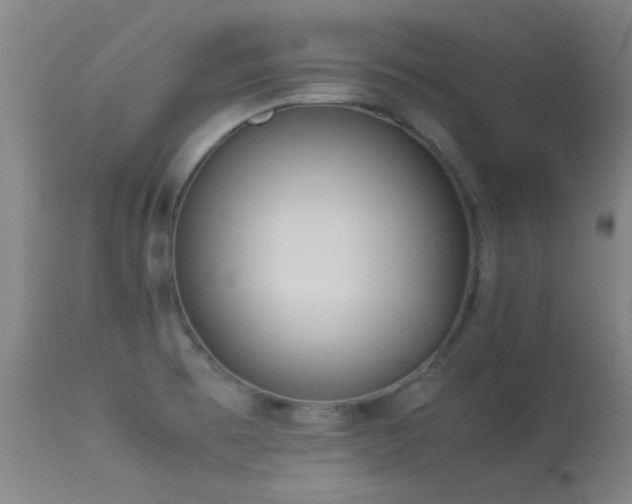 X0000113241473200909171551