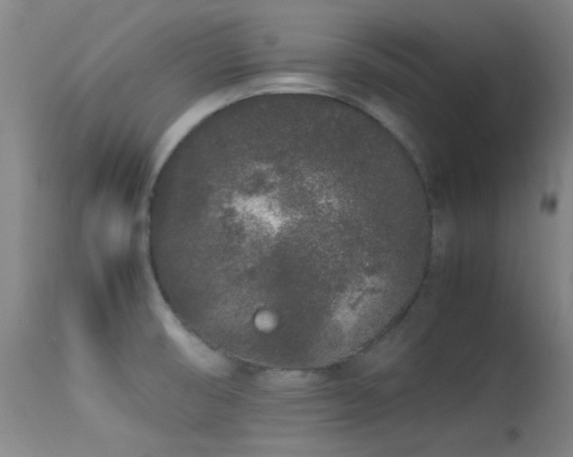 X0000113241474200909171551