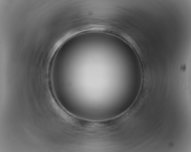 X0000113241475200909171551