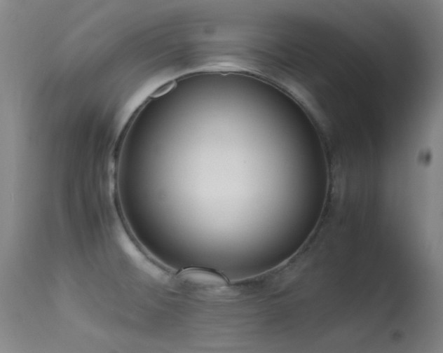 X0000113241476200909171551