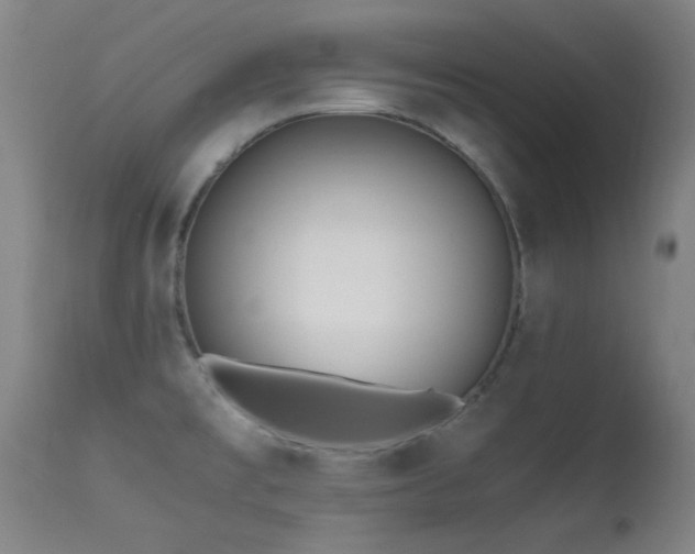 X0000113241477200909171551