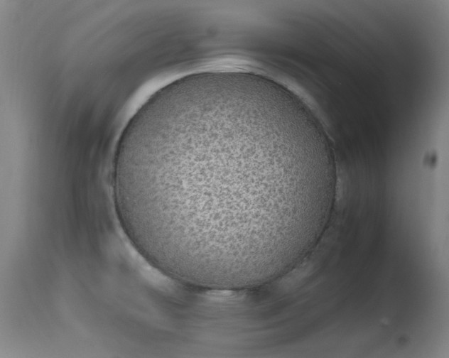 X0000113241478200909171551