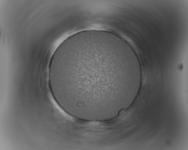 X0000113241479200909171551