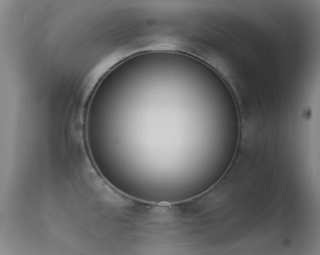 X0000113241480200909171550