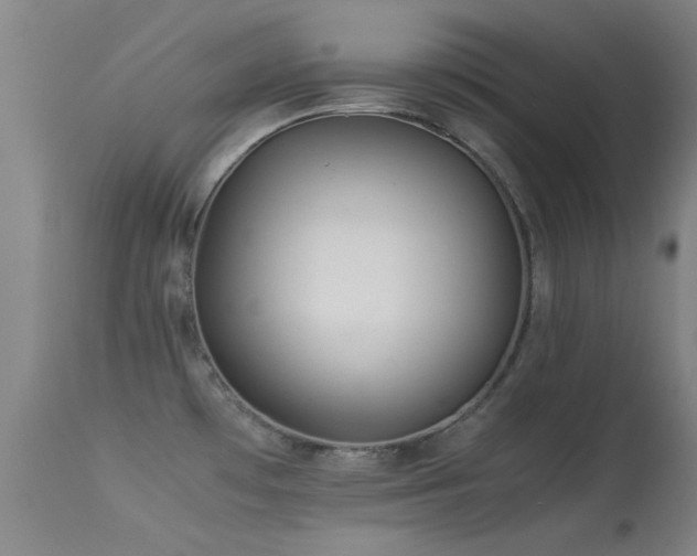 X0000113241481200909171550