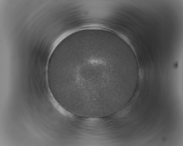 X0000113241482200909171550