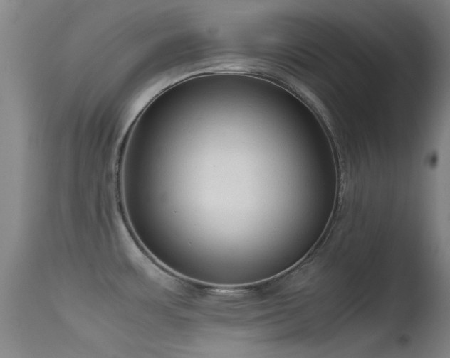 X0000113241483200909171550