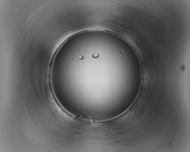 X0000113241484200909171550