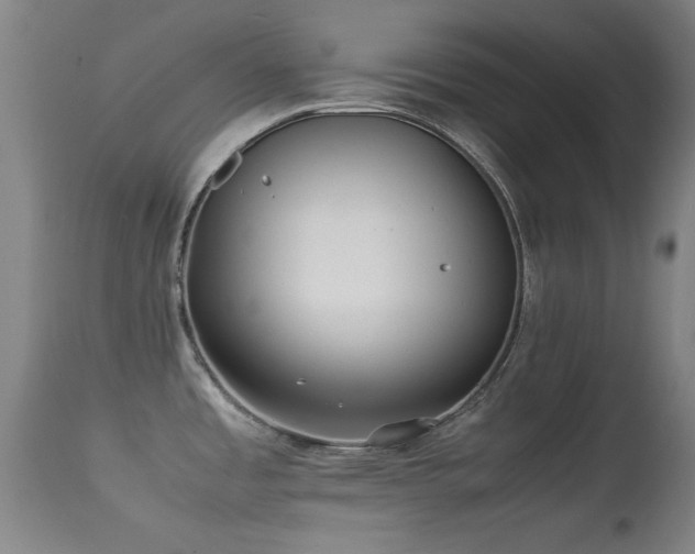 X0000113241485200909171550