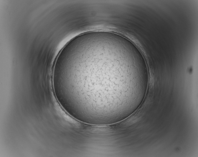 X0000113241486200909171550