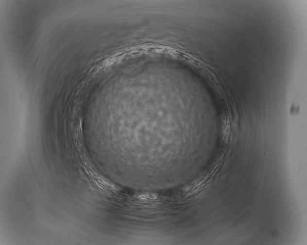 X0000113241489200909171550