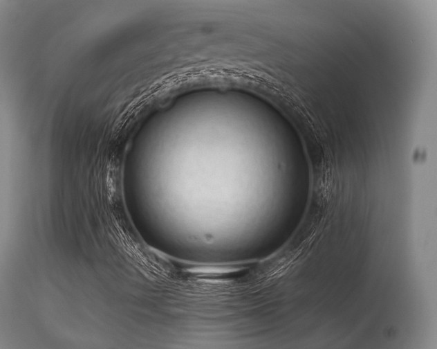 X0000113241490200909171550