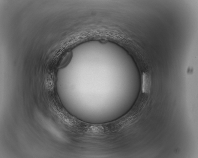 X0000113241491200909171550