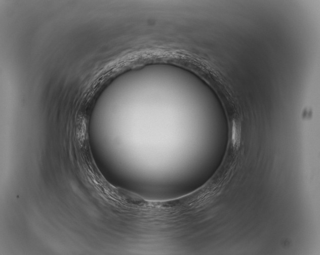 X0000113241492200909171550