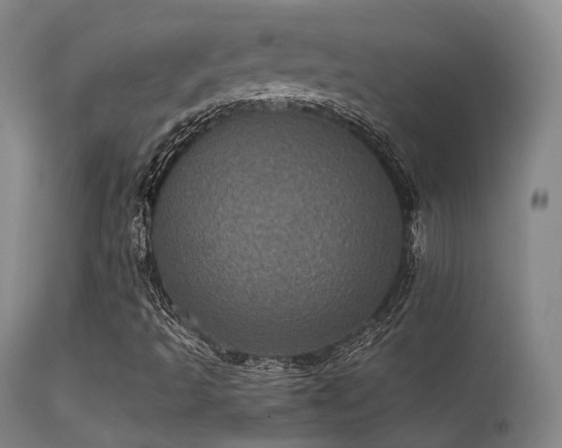 X0000113241493200909171550