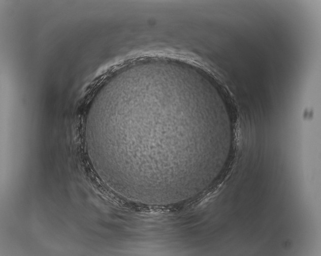 X0000113241494200909171550