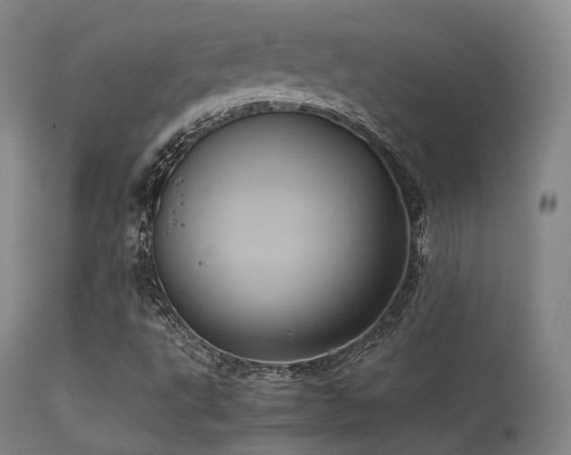 X0000113241495200909171550