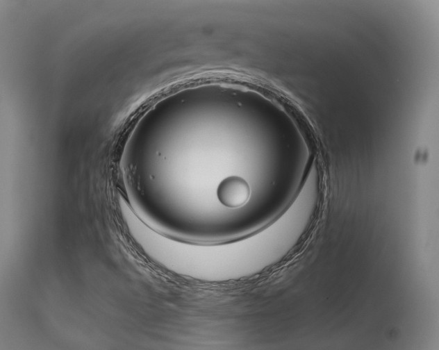 X0000113241496200909171550