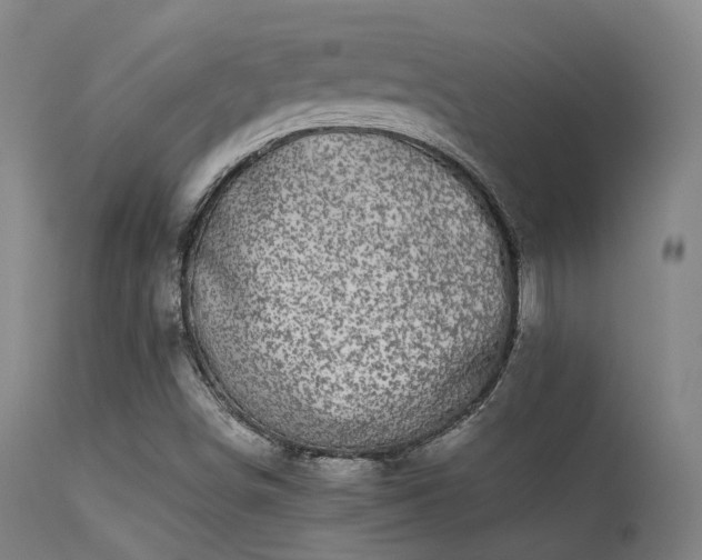 X0000113241498200909171550