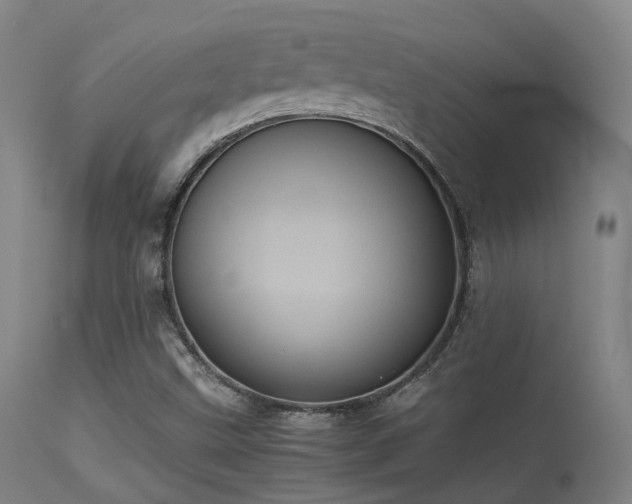 X0000113241499200909171550