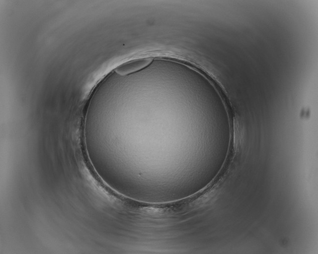 X0000113241500200909171550