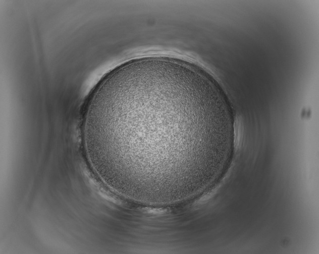 X0000113241501200909171550