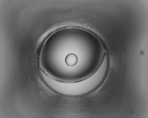 X0000113241502200909171550