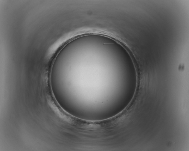 X0000113241503200909171550