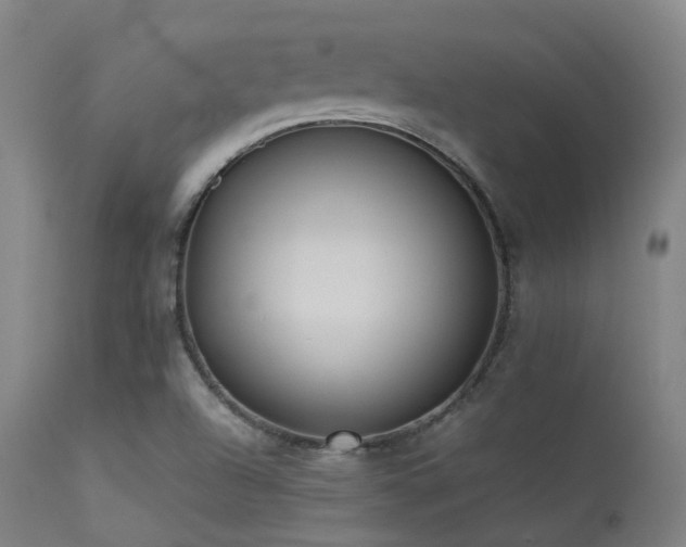 X0000113241504200909171550