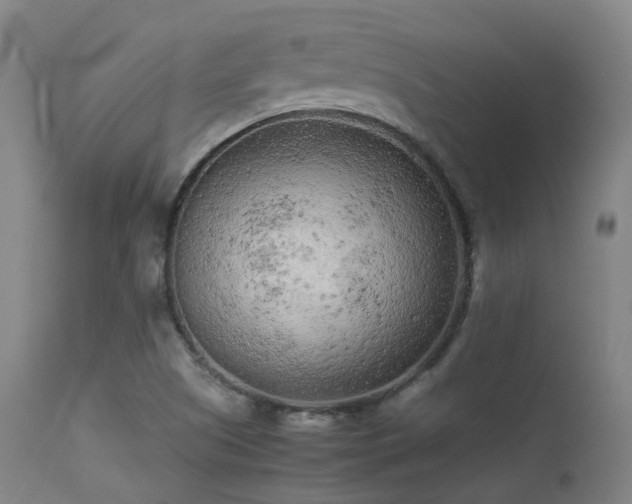 X0000113241505200909171550