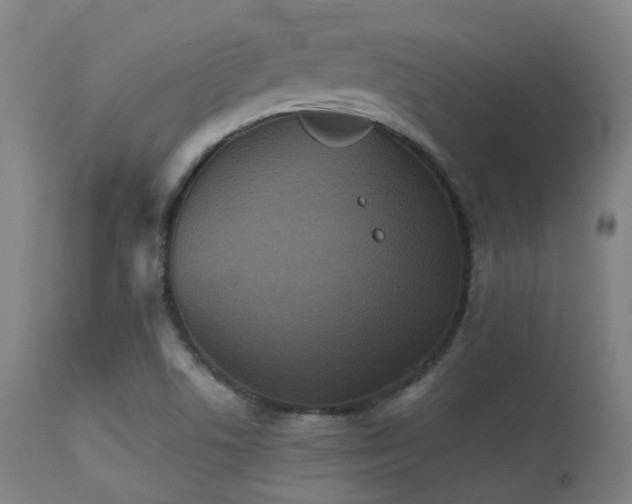 X0000113241506200909171550