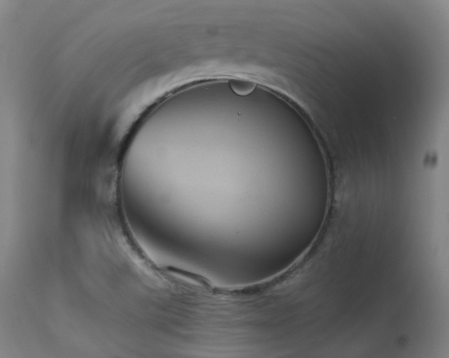 X0000113241507200909171550