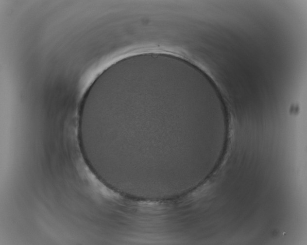 X0000113241508200909171550