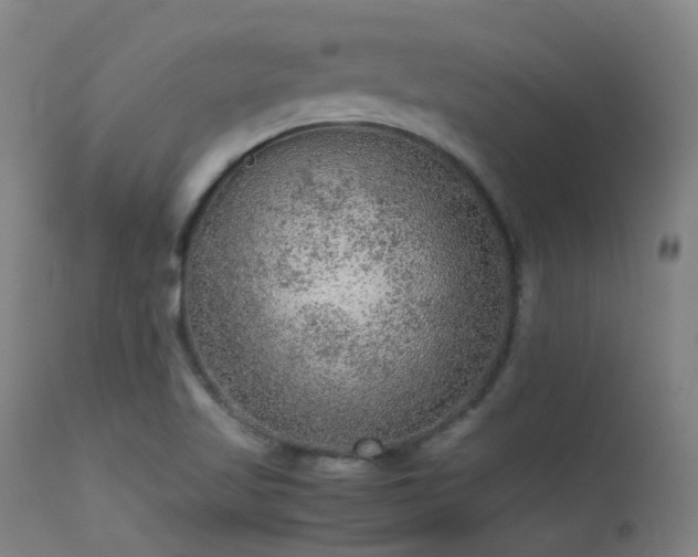 X0000113241509200909171550