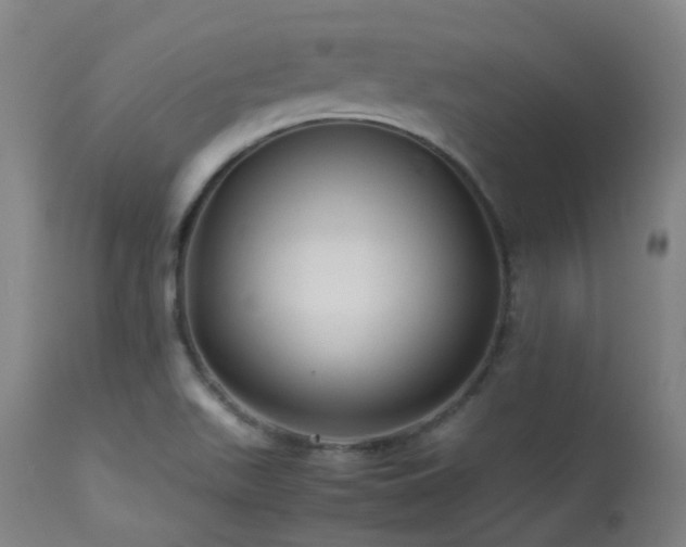 X0000113241511200909171550