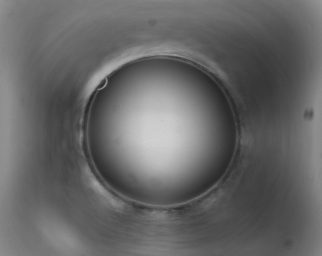 X0000113241512200909171550