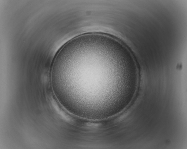 X0000113241513200909171550