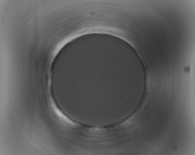 X0000113241515200909171550