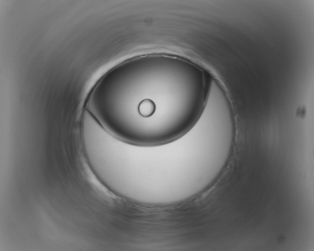 X0000113241516200909171550