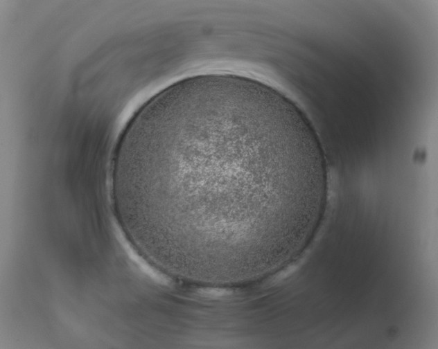 X0000113241517200909171550