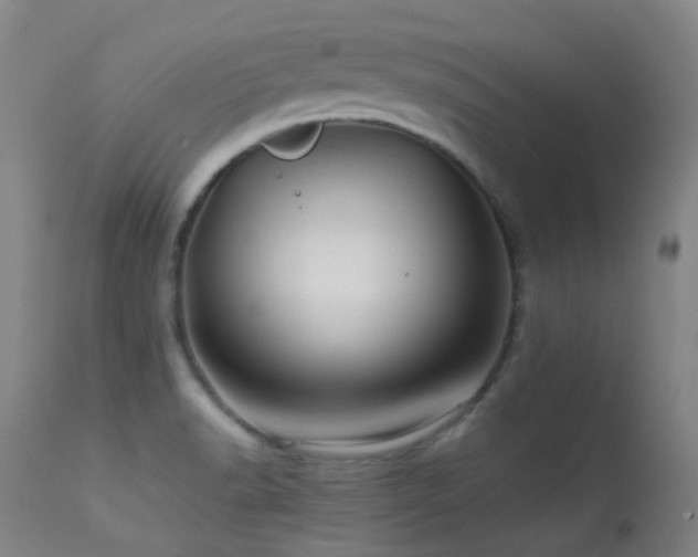 X0000113241518200909171550