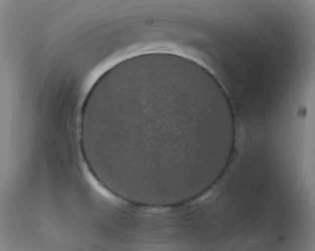 X0000113241519200909171550