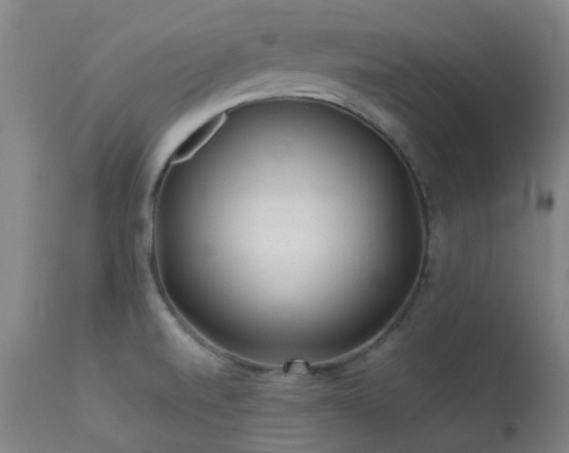 X0000113241520200909171550