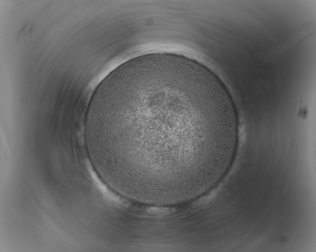 X0000113241521200909171550